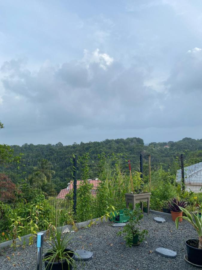Villa Mahault Petit-Bourg Bagian luar foto